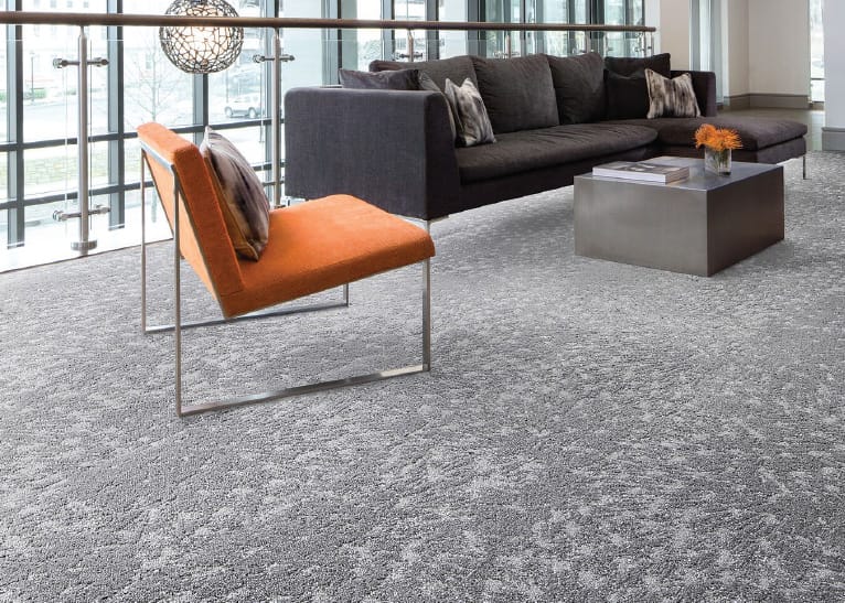 Carpet: Intrinsic, Magnify