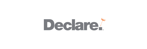 Declare icon